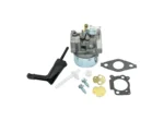 Briggs and Stratton 800 Series Carburetor: 698860, 798653