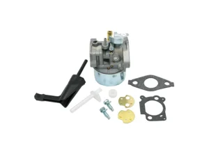 Briggs and Stratton 800 Series Carburetor: 698860, 798653