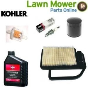 21hp Courage Tune up Kit (SV610S)