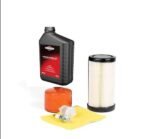 Briggs & Stratton 4195 Endurance Service Kit: 793569, 793685