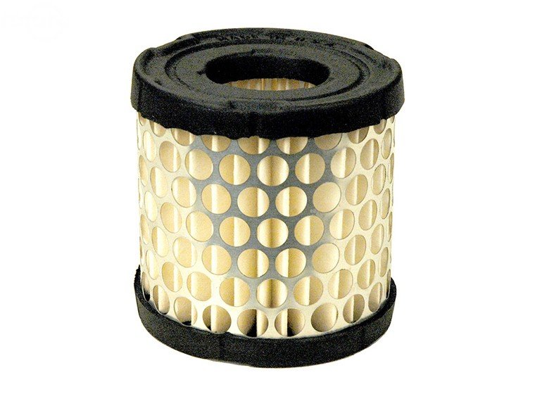 Briggs & Stratton Air Filter: 392308