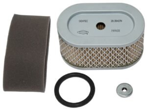Briggs & Stratton Air Filter and Pre-Filter: 797033