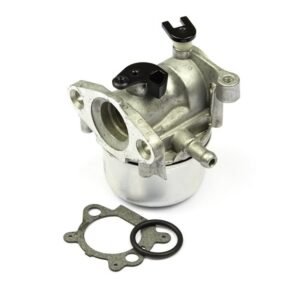 Briggs & Stratton Carburetor 790845