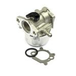Briggs & Stratton Quantum Carburetor 799868