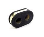 Briggs and Stratton Air Filter 593260, 798452