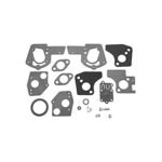 Briggs and Stratton Carburetor Overhaul Kit: 494624, 495606