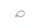 ​Briggs and Stratton Intake Gasket: 799580