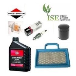 Briggs and Stratton Tune up Kits