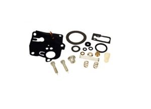 Carb Kit for old Briggs Vertical Engines: 494623