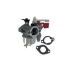 Carburetor for Briggs & Stratton: 595318, 798523, 799060, 84004885