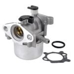 Carburetor for Briggs and Stratton: 799866