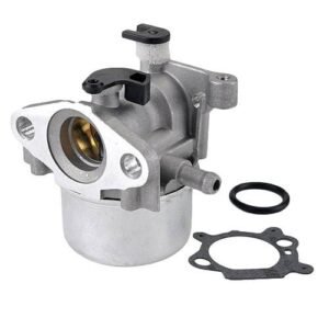 Carburetor for Briggs and Stratton: 799866