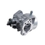 Carburetor for Castelgarden: 118550375/1
