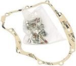 Crankcase Gasket Kit for Briggs and Stratton: 594195