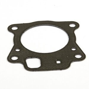 Cylinder Head Gasket for Briggs and Stratton: 796475