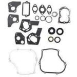 Gasket Set for Briggs and Stratton: 297615