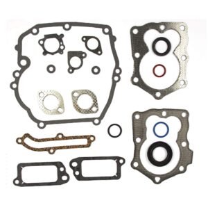 Gasket Set for Briggs and Stratton: 794307