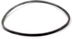 Husqvarna Drive Belt: 580364604
