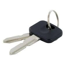Ignition Key for Castelgarden XDC140: 118210023/0
