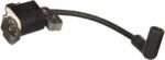 Ignition Module 595554 fits 11P, 112P, 115P, 121S, 122Q, 122R, 122S, 123P and 125P