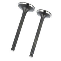 Loncin 2P77F Engine Valve Kit: 500550037-0001