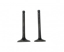 Loncin G160F, G200F Valve Kit: 500550129-0001