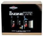Model 31, Series 4 Intek™ I/C® OHV 31R7, 31R8, 31R9 Tune up kit 992243
