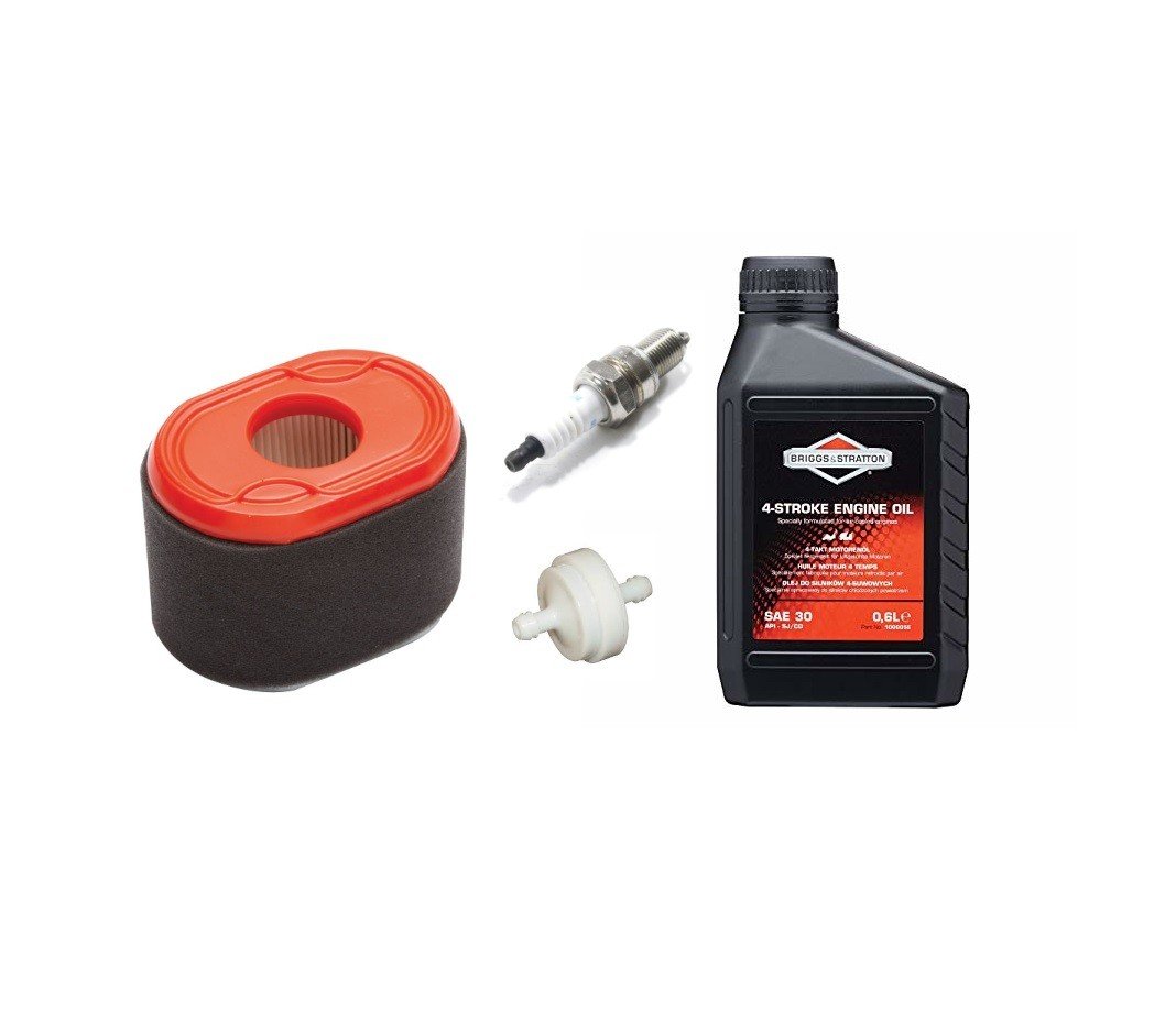 Service Kit for 550 Series OHV Engines: 796970