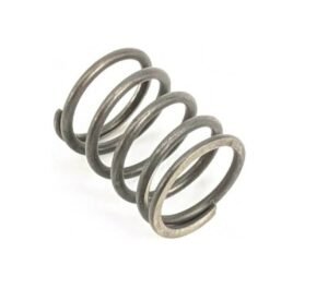 ​Stihl BR600 Valve Spring: 42820251600