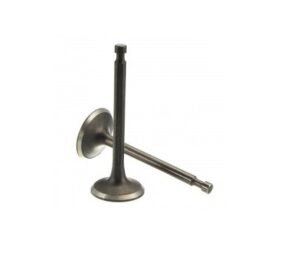 ​Valve Kit For Loncin G340F, G390FD, LC5000, LC6500D Engines: 500550030-0001