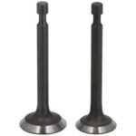 Valve Kit for Loncin LC1P65FA: 500550034-0001