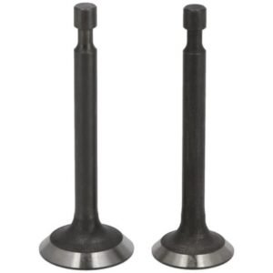 Valve Kit for Loncin LC1P65FA: 500550034-0001