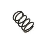 Valve Spring Loncin GF / LC : 140340022-0001